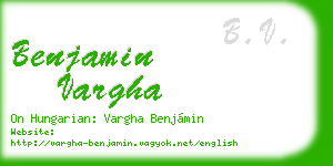 benjamin vargha business card